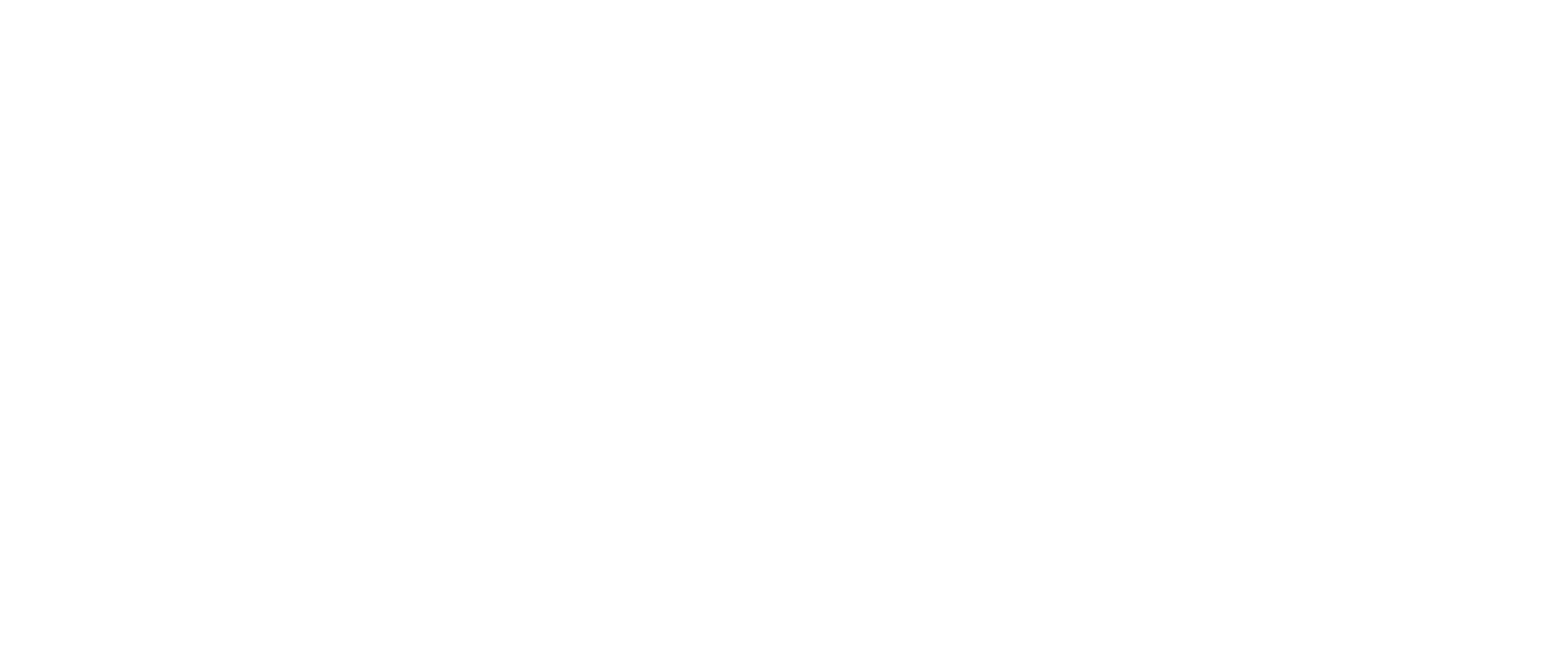 Arden Mini Storage logo white | Self-storage, Arden, Asheville, Fletcher